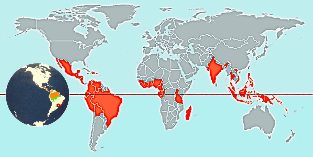 Kakaoanbaugebiete weltweit (kleine Karte: Anbaugebiete Mittel-/Südamerika) — www.theobroma-cacao.de