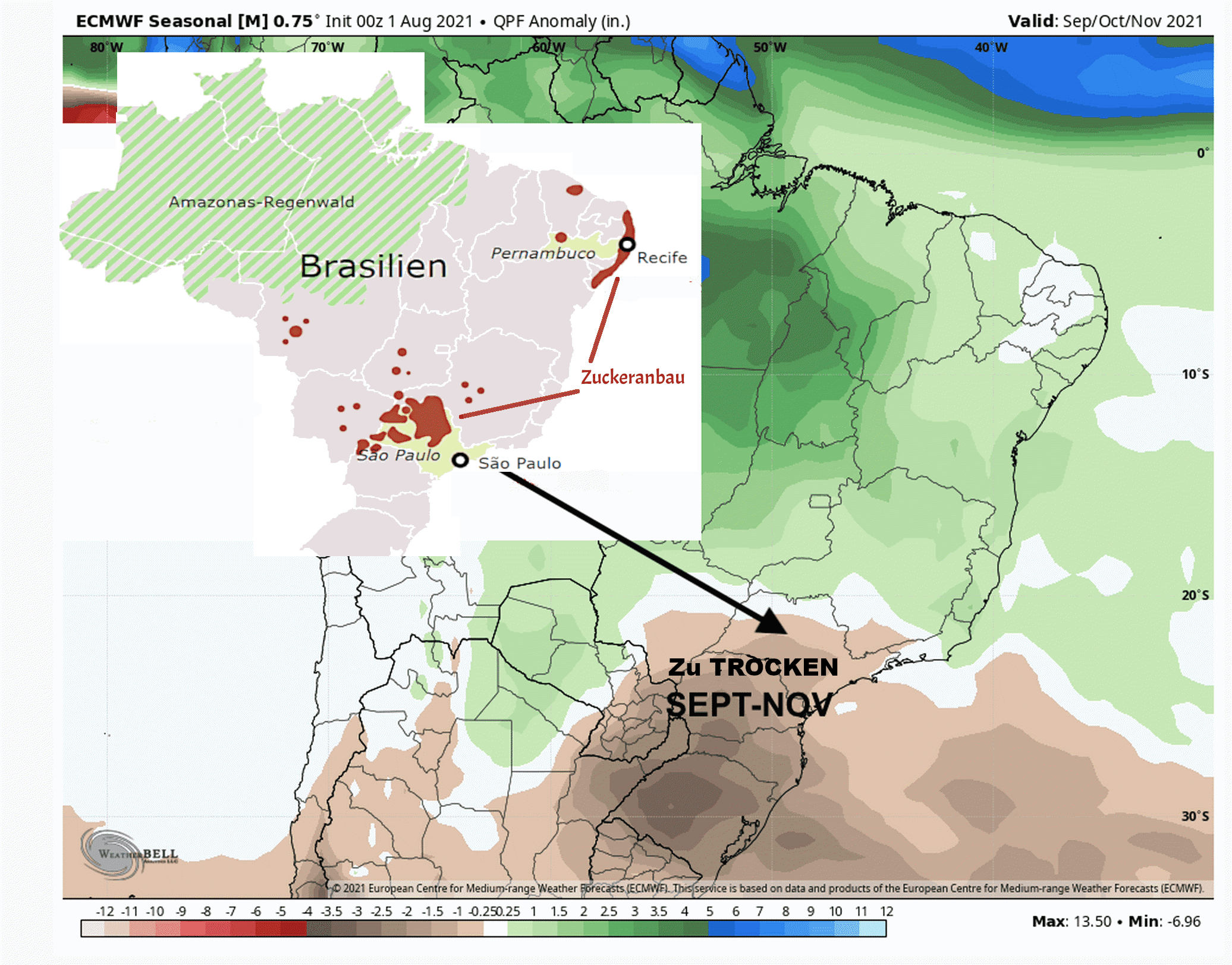 Niederschläge, Prognose für Südamerika – Quelle: ECWMF